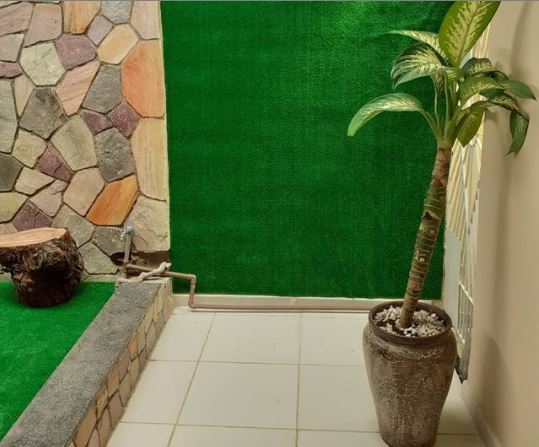 gallery grid image